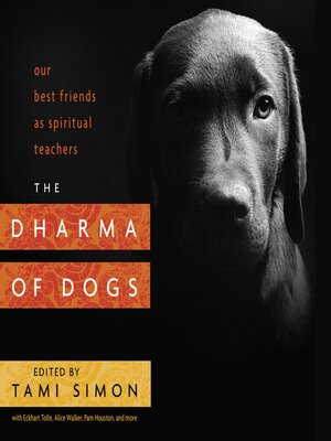 cover image of The Dharma of Dogs